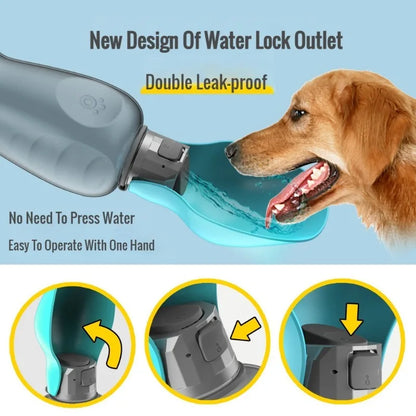 Pet-Friendly Drinking Solution