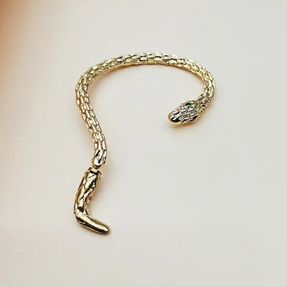 Serpentine Ear Jewelry